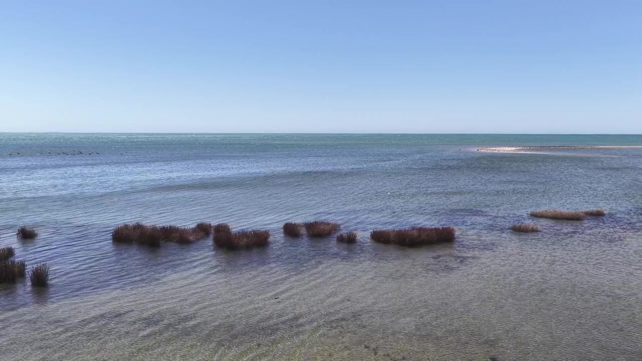 Spokojny widok z drona na nadmorskie mokradła i płytkie wody oceaniczne na Wyspie Południowej Nowej Zelandii, widok przyrodniczy i krajobrazowy
