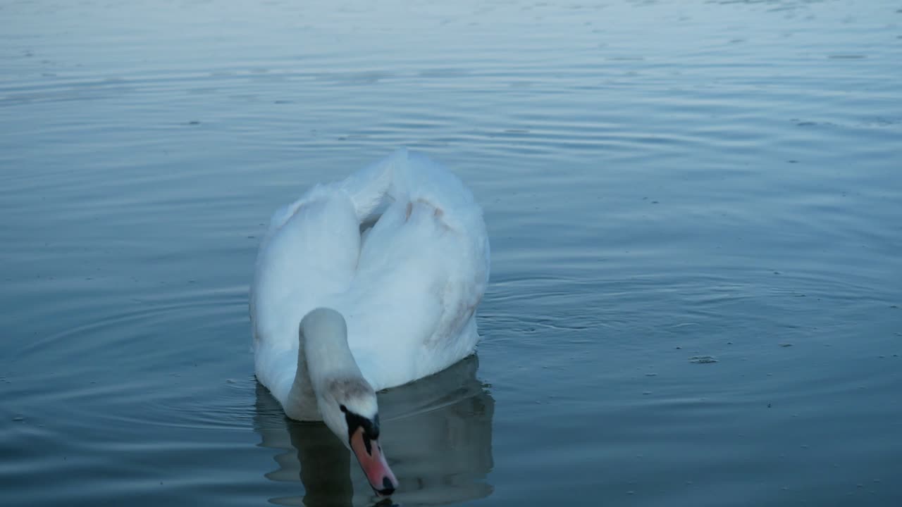 canada lake ontario summer water lakeshore toronto etobicoke water humber