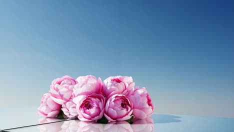 pink peony bouquet on reflective surface with blue background