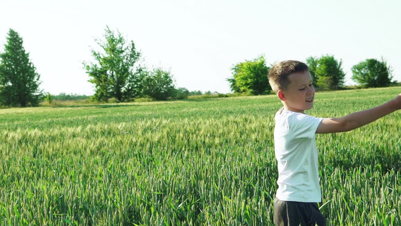 A child in a white t-shirt is smiling and spinning with arms outstretched in the field on the background of green unripe wheats. Slow motion