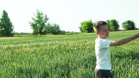 a child in a white t-shirt is smiling and spinning with arms outstretched in the field on the background of green unripe wheats. slow motion