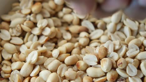 close up of shelled peanuts