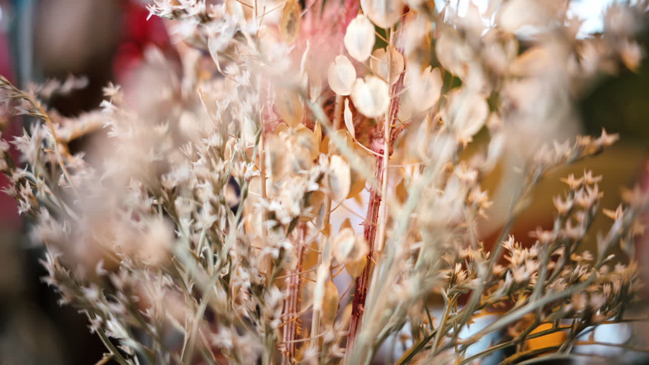 Colourful dried plants interior decoration