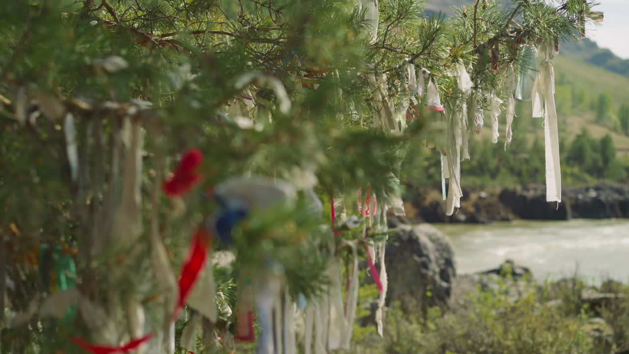 cintas atadas a las ramas del árbol de los deseos en la orilla del río
