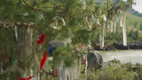 ribbons tied on branches of wishing tree on riverbank