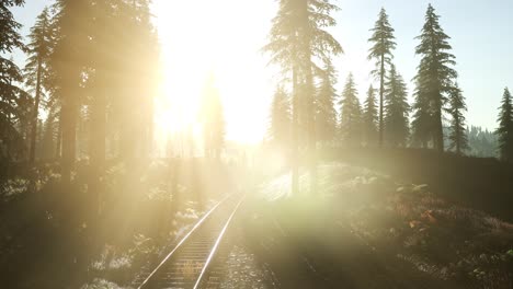 Flight-Over-A-Railway-Surrounded-By-Forest-with-Sunbeams