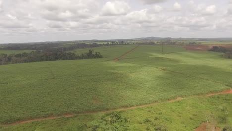 Sobrevuelo-De-Tierras-De-Cultivo-Como-Resultado-De-La-Deforestación