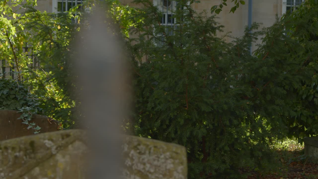 옥스퍼드 묘지의 비석 추적 샷