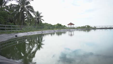 Hermosa-Vista-Matutina-Del-Estanque-Grigak,-Un-Estanque-En-El-Borde-Del-Mar-Del-Sur-En-El-Distrito-De-Gunung-Kidul,-Yogyakarta,-Indonesia