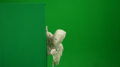 green screen isolated chroma key video capturing a mummy dancing and singing actively into the