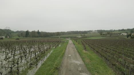 Camino-Rural-Entre-Viñedos-De-Burdeos,-Francia---Antena