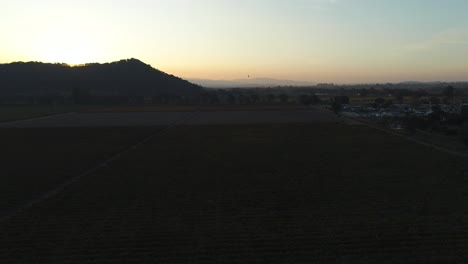 lift-aerial-shot-over-grape-vineyards-in-Napa-Valley