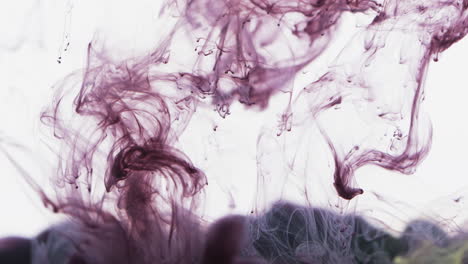 video en cámara lenta de tinta de acuarela púrpura mezclándose en agua contra un fondo gris
