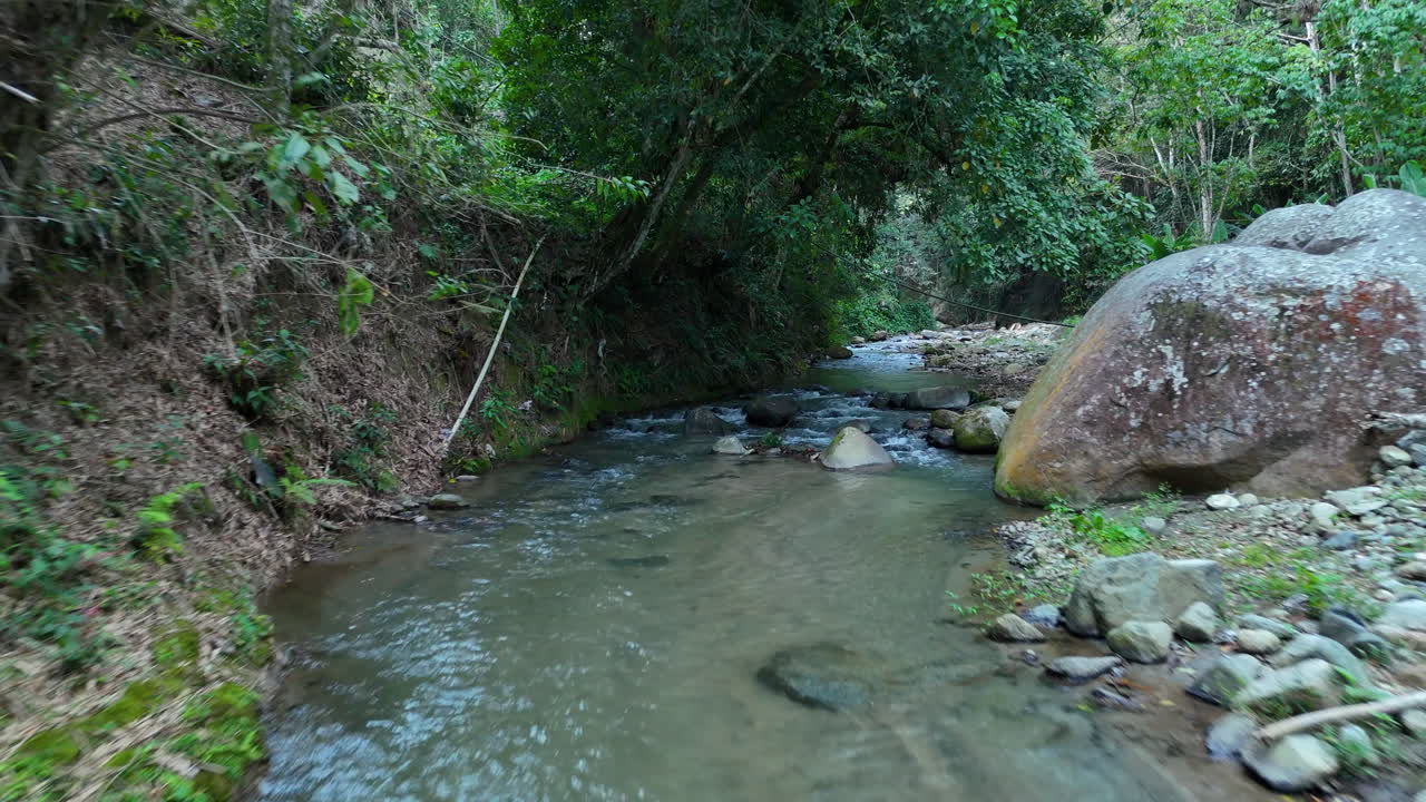 Volo lento sopra il limpido fiume Manabao nelle mangrovie tropicali di Jarabacoa, Repubblica Dominicana