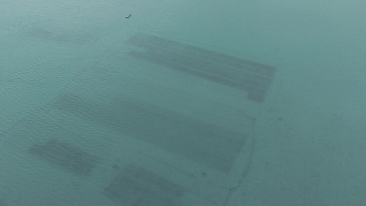 Aerial View Of Offshore Oyster Farm Grids Submerged In Clear Turquoise Water Of Penghu, Taiwan.