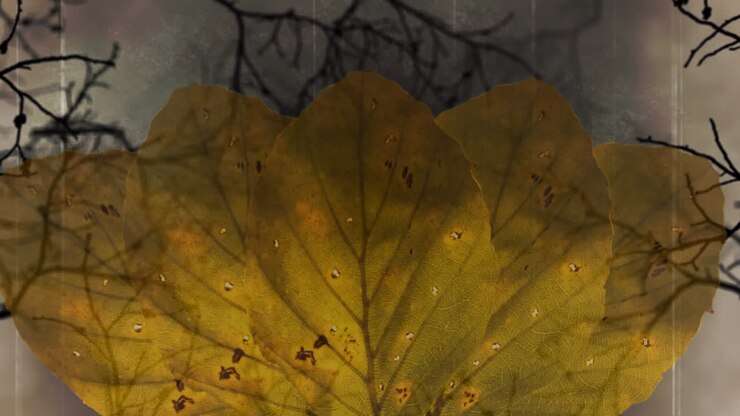 Digital animation of autumn leaves with copy space against creepy tree branches on grey background
