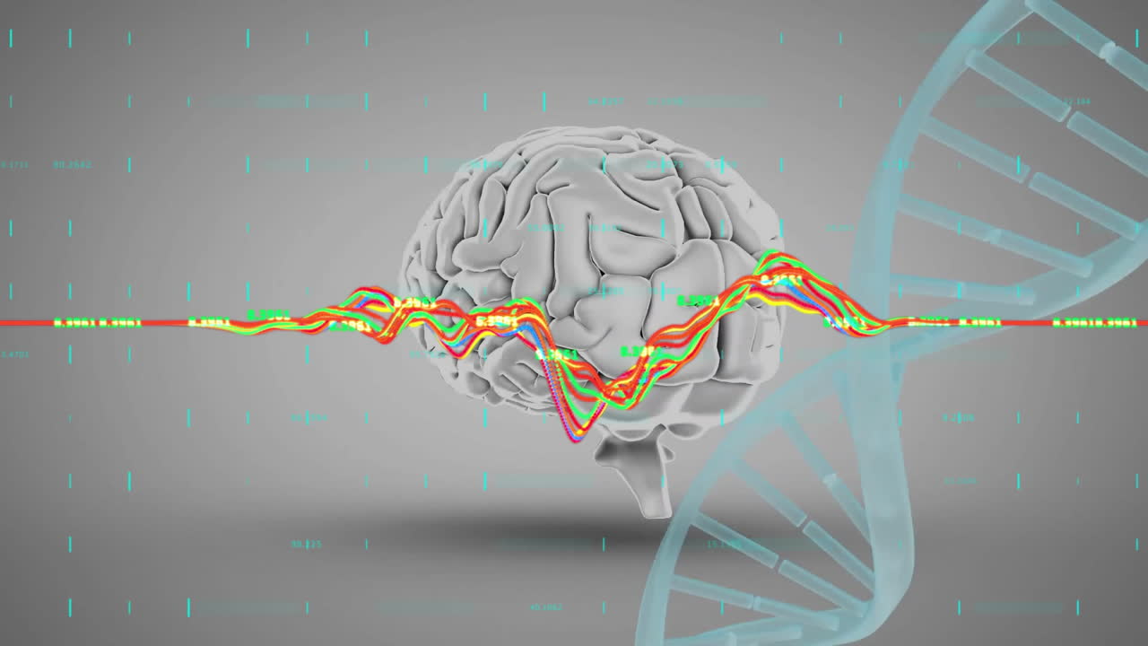 dna 스트랜드와 인간의 뇌에 대한 데이터 처리의 애니메이션