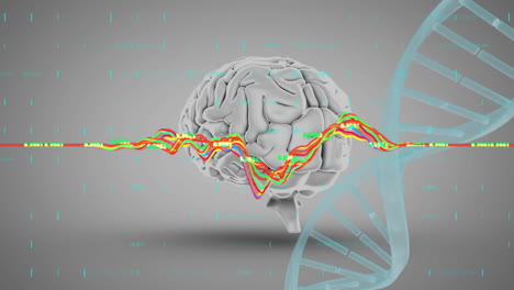 animación del procesamiento de datos sobre la cadena de adn y el cerebro humano