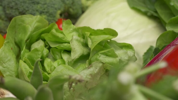 Green salad lettuce closeup rotating and various mixed vegetables