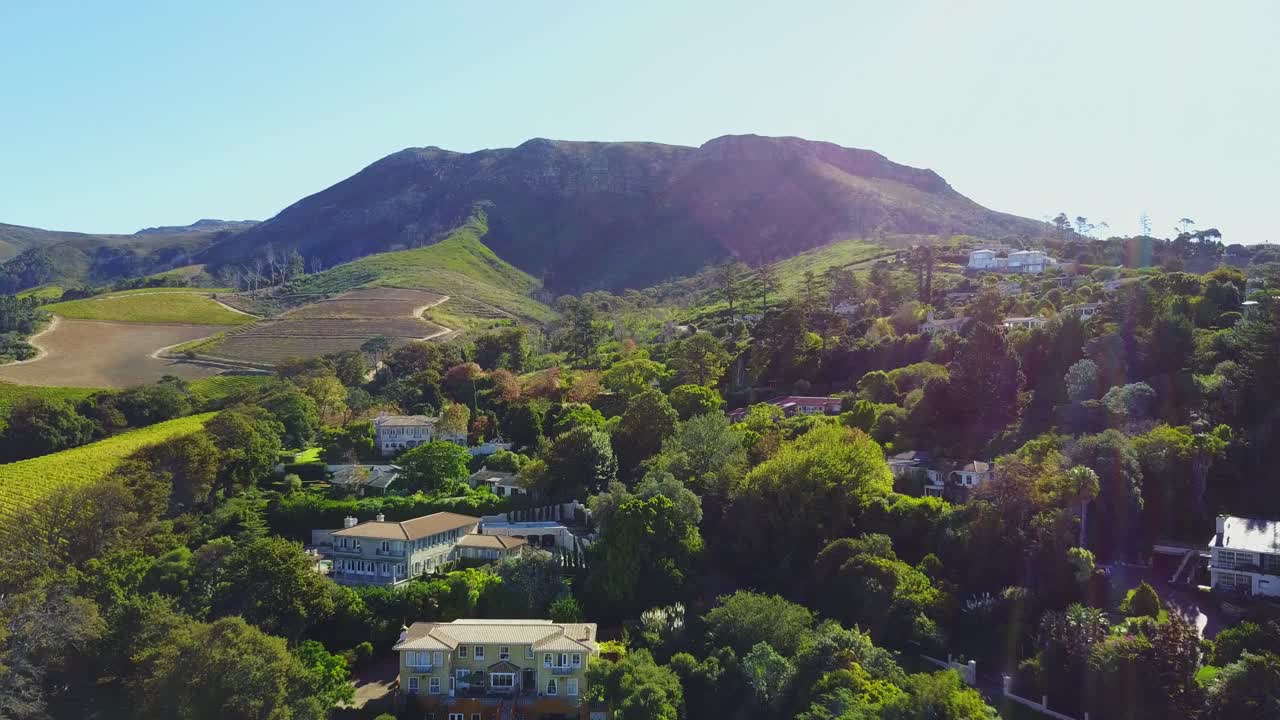 화창한 날 포도원과 나무의 공중