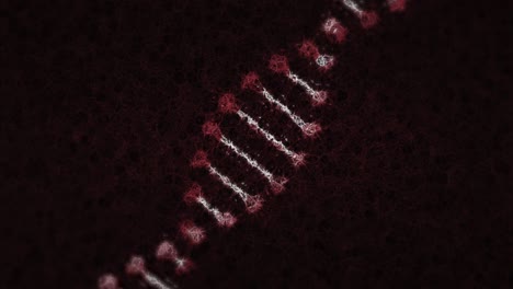 Animation-of-dna-strand-spinning-on-black-background