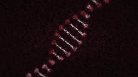 animación de una cadena de adn girando sobre un fondo negro