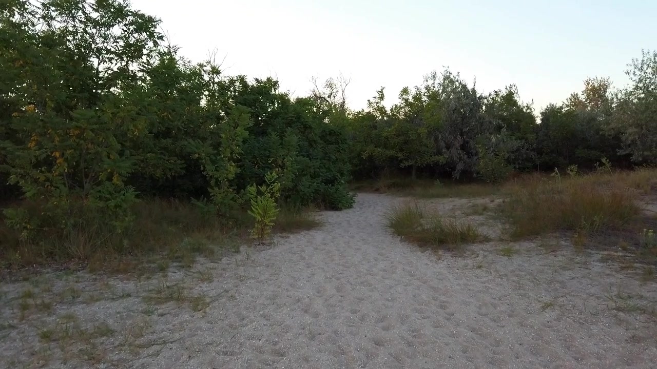 Riprese di dune di sabbia in estate. Riprese serali