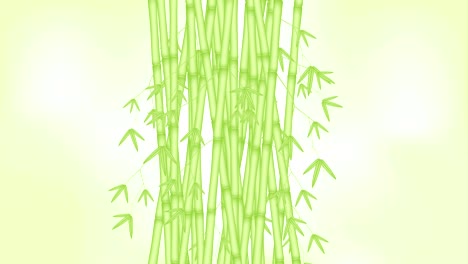 bamboo grove moving by the wind looping and copy space animation 4k on blur green background with alpha channel