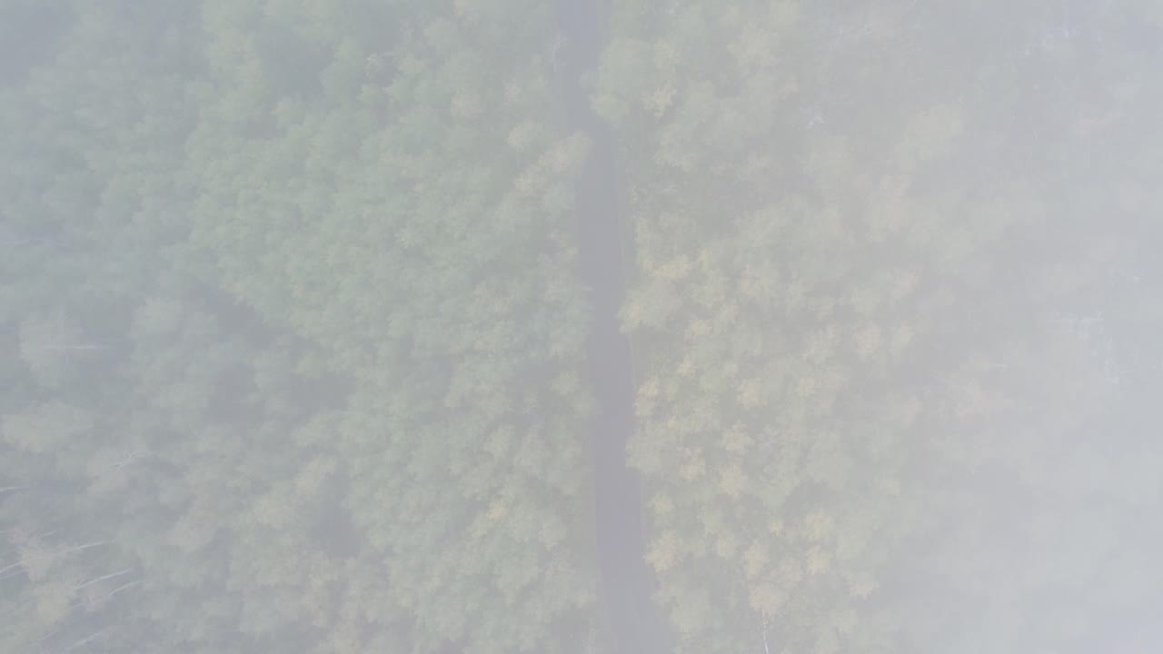 descenso aéreo a través de nubes por encima de la carretera de bucle alpino y el bosque de caída