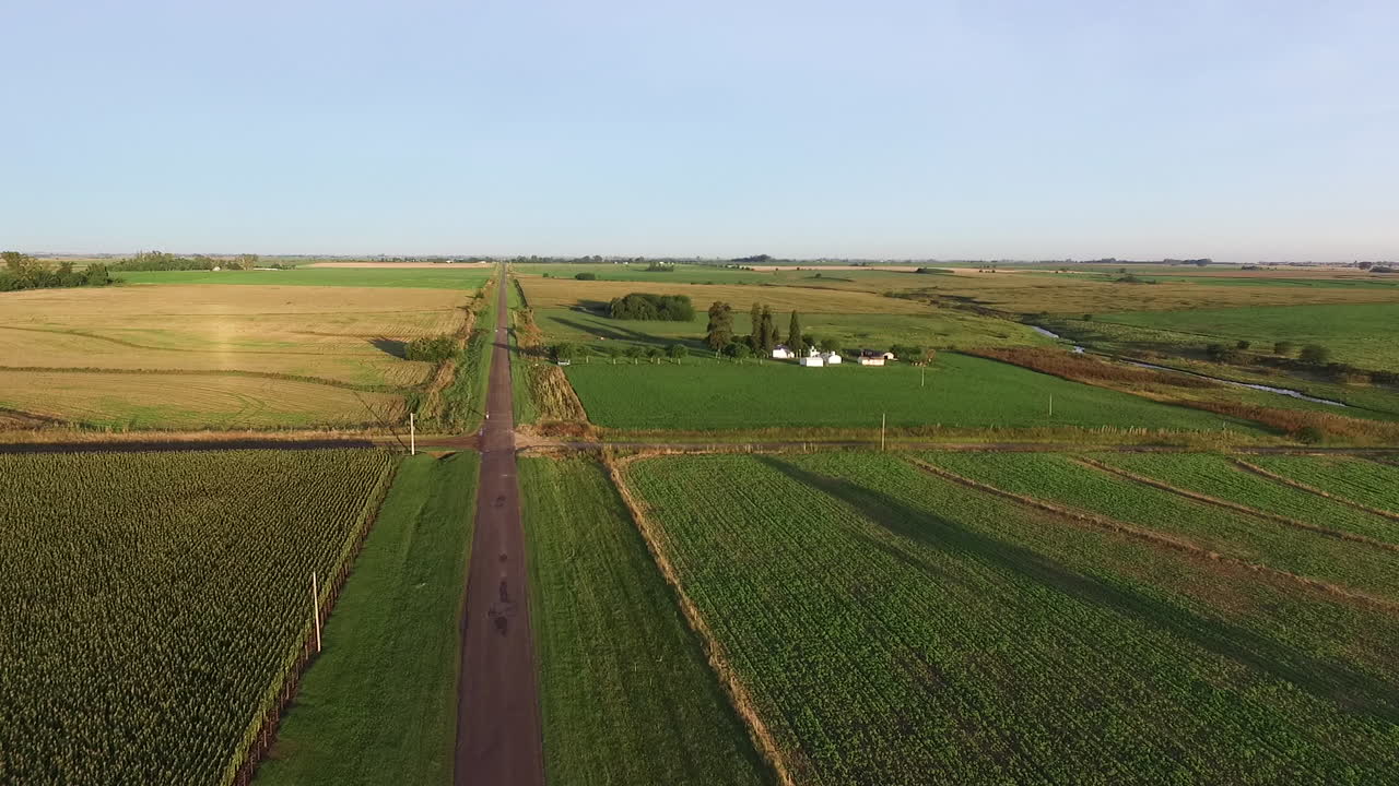 Aerial View of Agricultural Fields on a Flat Land in Countryside of Argentina