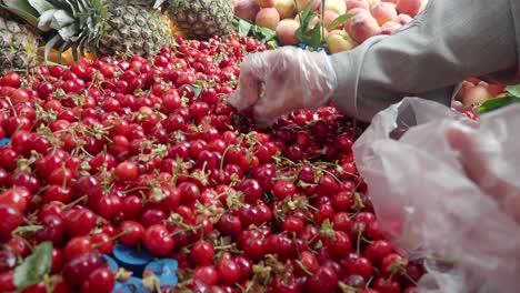 gloved hands picking fresh cherries at a market