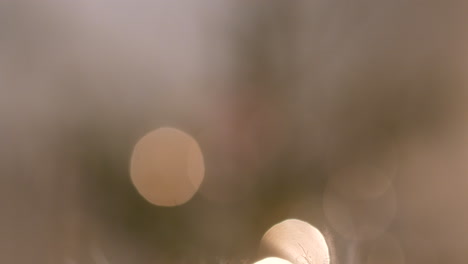 Reindeer fur close up, tilting up towards bokeh x-mas tree background