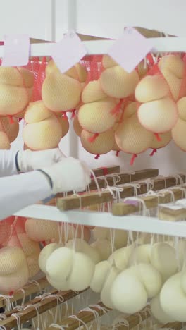 cheese production facility