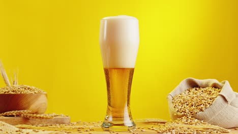 glass of beer with barley grains