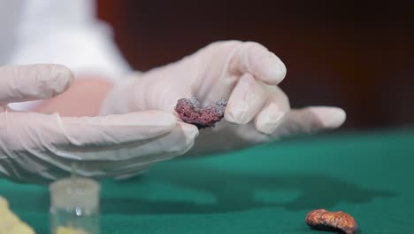 scientist examining a copper ore sample