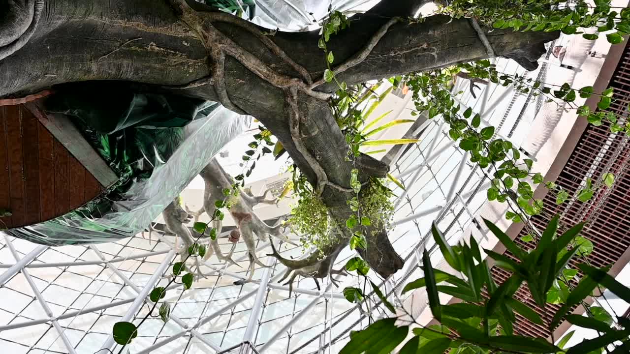 An inside view of the indoor rainforest in Dubai, United Arab Emirates