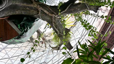 una vista desde dentro del bosque tropical cubierto en dubai, emiratos árabes unidos