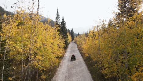 an atv off-roading on the mountain trail through beautiful trees in wasatch mountain range, utah during autumn - high angle shot, slow motion