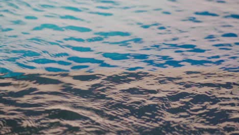 Slow-motion-shot-of-blue-water-rippling-on-the-surface-of-a-swimming-pool