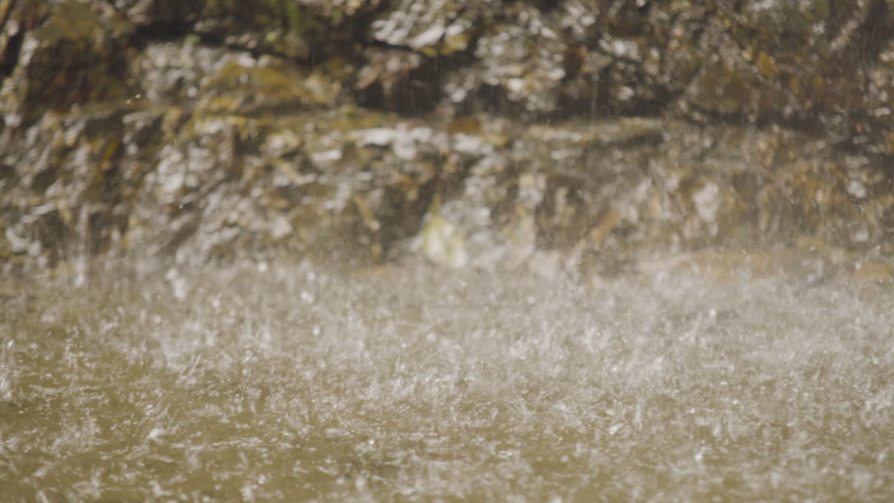 Detail shot, rain falling on water.