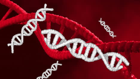 animación de cadenas de adn girando sobre un fondo rojo