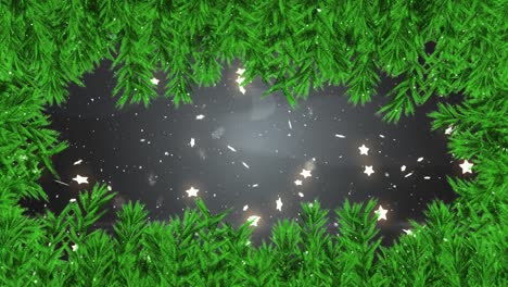 animation of stars and snow falling over fir tree branches on black background