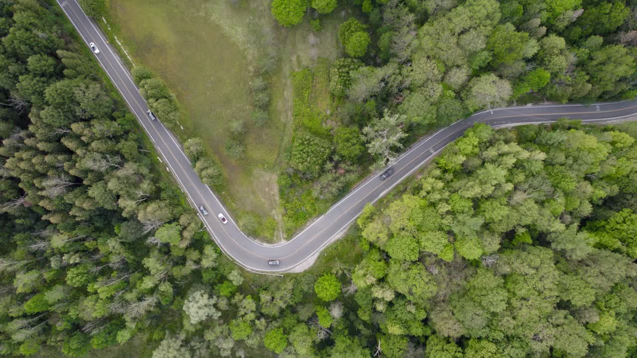 Aerial, Top down drone shot: cars turning a corner in a dense evergreen forest, mountain valley road