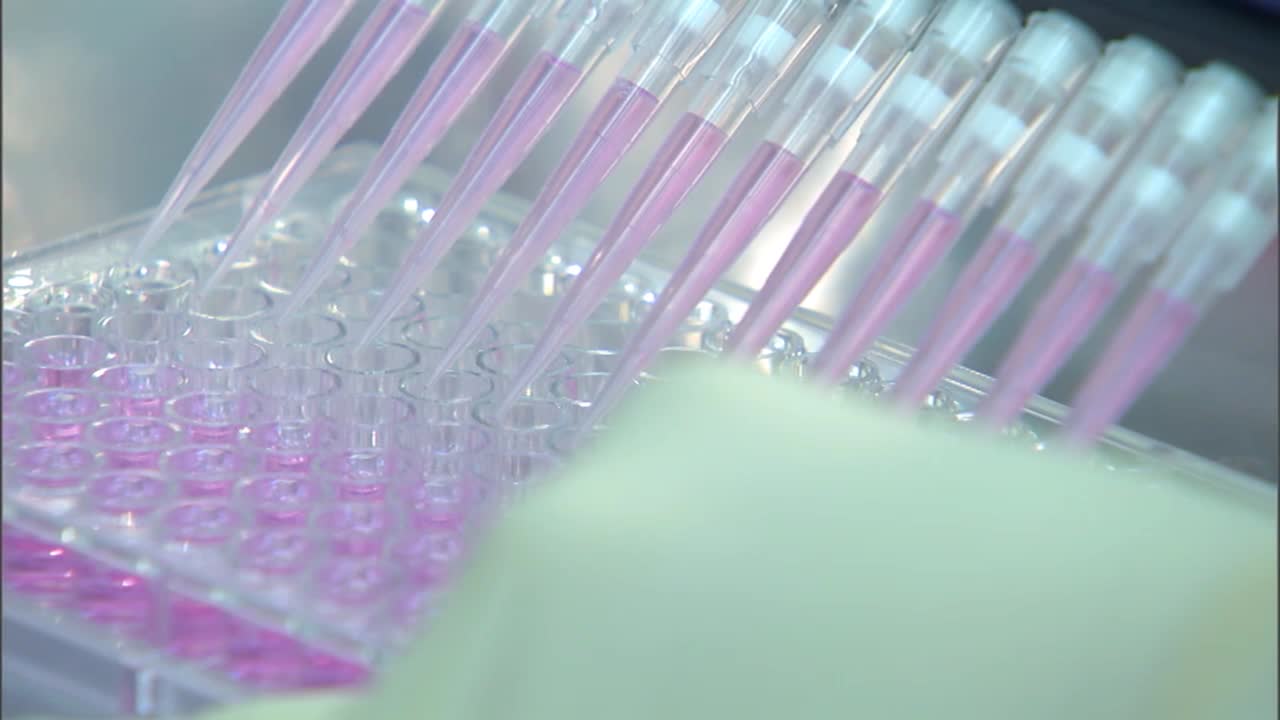 적절한 개인 보호 장비를 착용한 cdc 과학자는 고병원성 조류 인플루엔자 2에 대해 분리 및 테스트합니다.