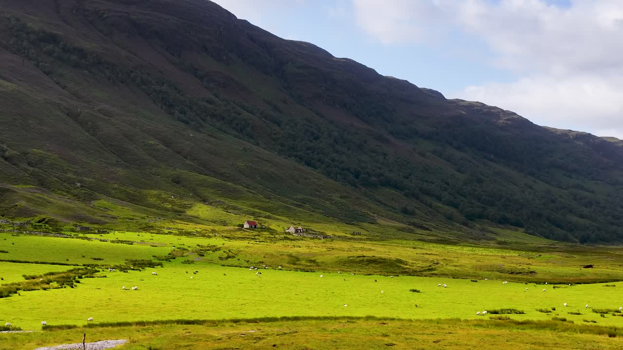 Wide shot slowly panning over green valley farmland, sheep pasture, and distant mountains in daylight