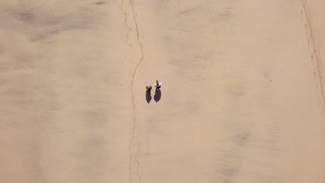 Vista-De-Arriba-Hacia-Abajo-De-Dos-Turistas-Caminando-Por-La-Orilla-Arenosa-En-La-Playa-De-Godrevy-En-Cornualles,-Inglaterra---Disparo-De-Drones