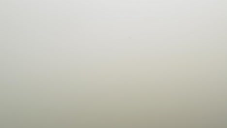 Weißkopfseeadler-In-Der-Ferne,-Der-Durch-Dichten-Nebel-Fliegt
