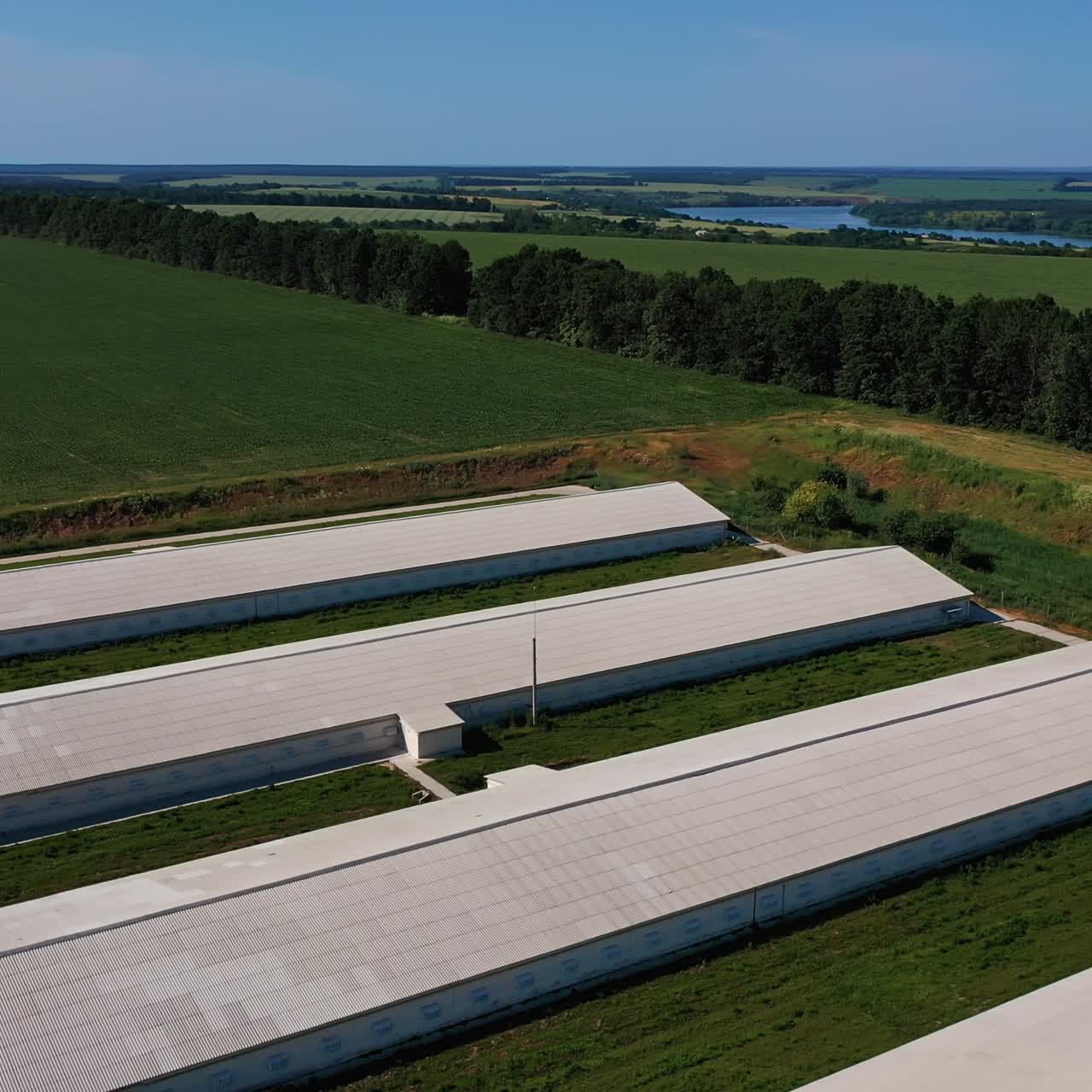 Huge farming premises located in the fields. Aerial drone shot over the modern farm against the nature backdrop