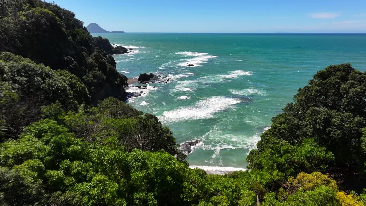 Native trees Drone glides over New Zealand’s jagged coastline—turquoise waves crash against cliffs, windswept trees cling to edges, and sunlight flickers across the wild, untouched shore.