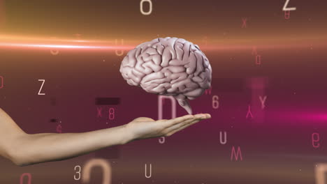 cerebro humano girando sobre la mano contra el cambio de números y alfabetos en el fondo de gradiente